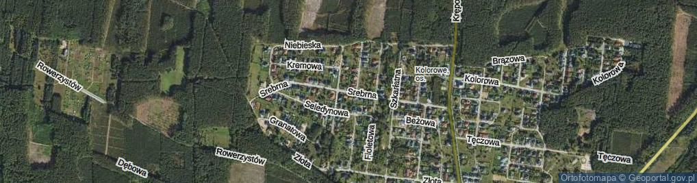 Zdjęcie satelitarne Srebrna ul.